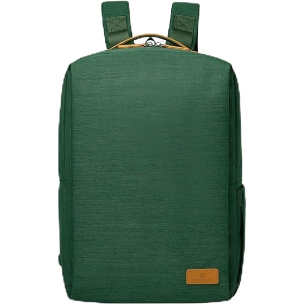 Amazon.com: Nordace Siena Pro 17 Smart Backpack with USB